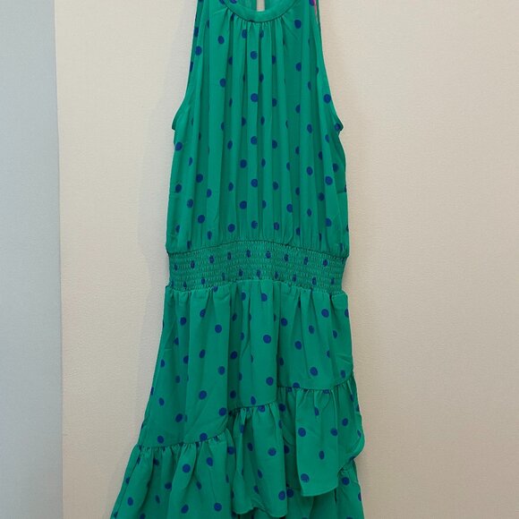 Lilly Pulitzer NWT Pamelyn Botanical Green Hotter Spot Dress SZ 12 - Picture 3 of 6
